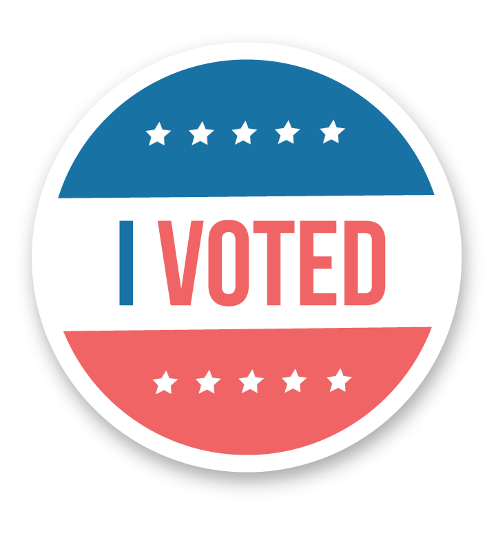 i voted today pin