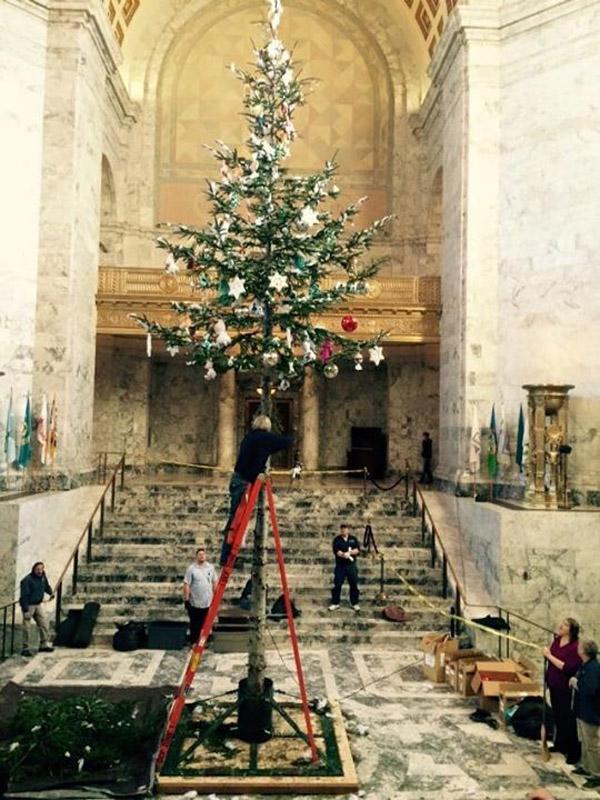 2014 Capitol Christmas Tree removed