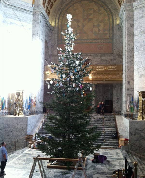 2014 Holiday tree photo