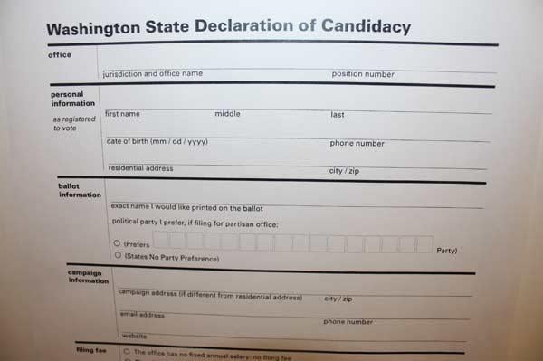 Candidate-declaration-form-002