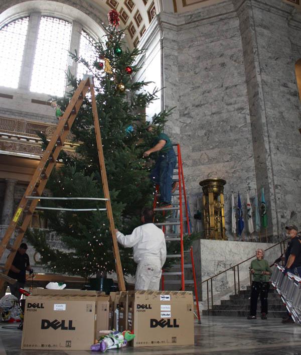 Holiday tree being decorated