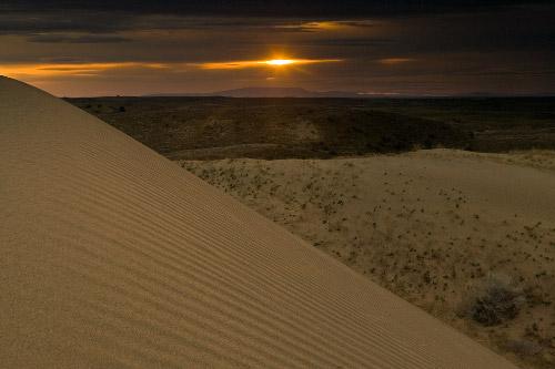 Juniper dunes