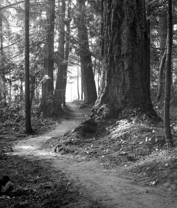 Trail at Deception Pass SP 1934