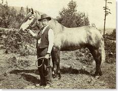 Bill Rosler and horse