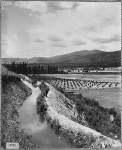 Irrigation ditch at Peach