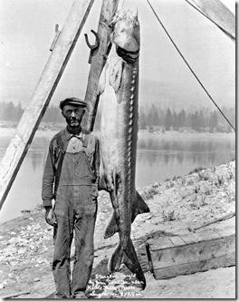 Jim Crowther & Sturgeon