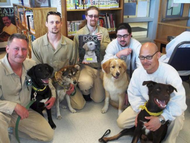 Dogs and trainers holding books at the SCCC Library