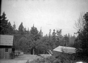 Photograph of an airship in the sky above some trees and buildings in Saltwater State Park.