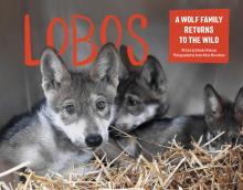 Lobos: A Wolf Family Returns to the Wild book cover