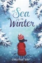 The Sea in Winter book cover